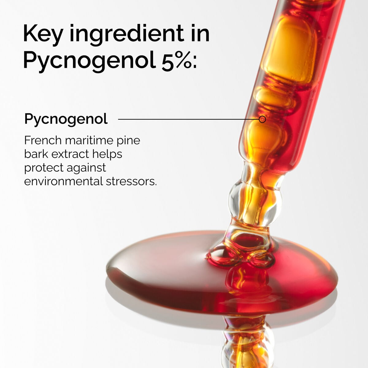 pycnogenol-5-k8 FY25-D41247-ORD-Web-PDP-Pyc-5pct-1x1-EN-2a.jpg