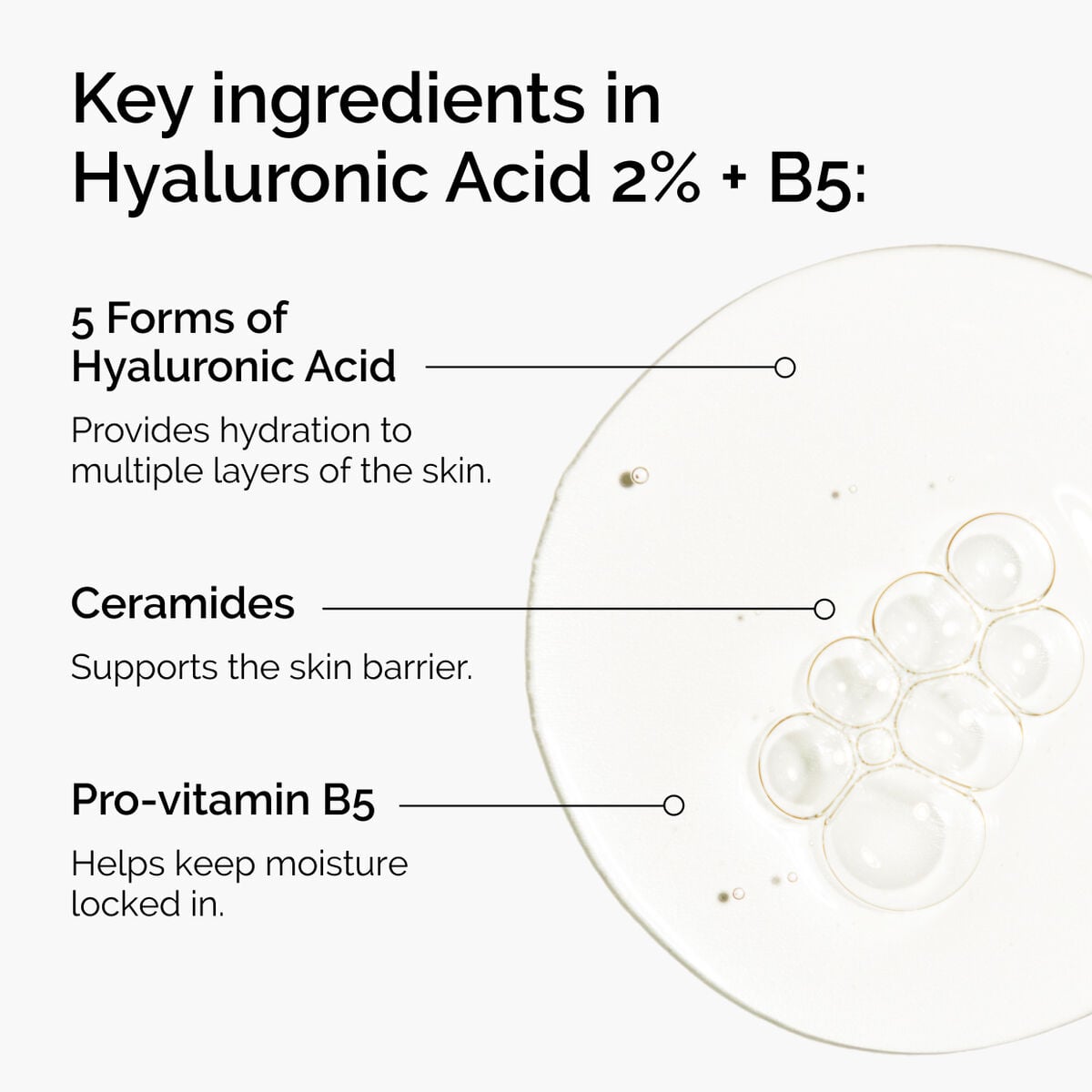 hyaluronic-acid-2-b5-with-ceramides-a5 ord-hyaluronic-acid-2pct-b5-hydrating-serum-ingredients-graphic.jpg