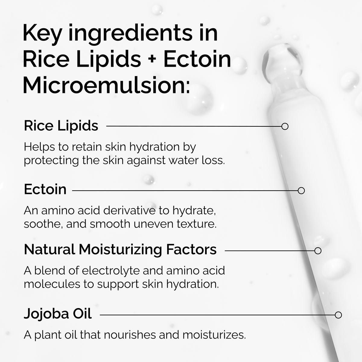 rice-lipids-ectoin-microemulsion-a8 ord-rice-lipids-ectoin-microemulsion-key-ingredients.png