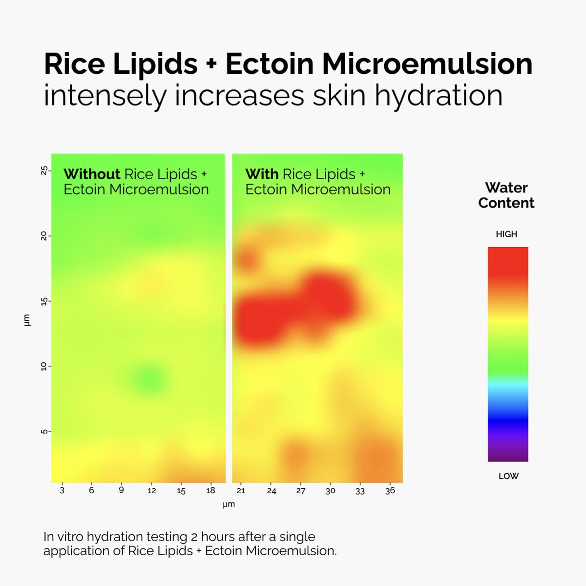 rice-lipids-ectoin-microemulsion-a8 ord-rice-lipids-ectoin-microemulsion-thermal-before-after.jpg